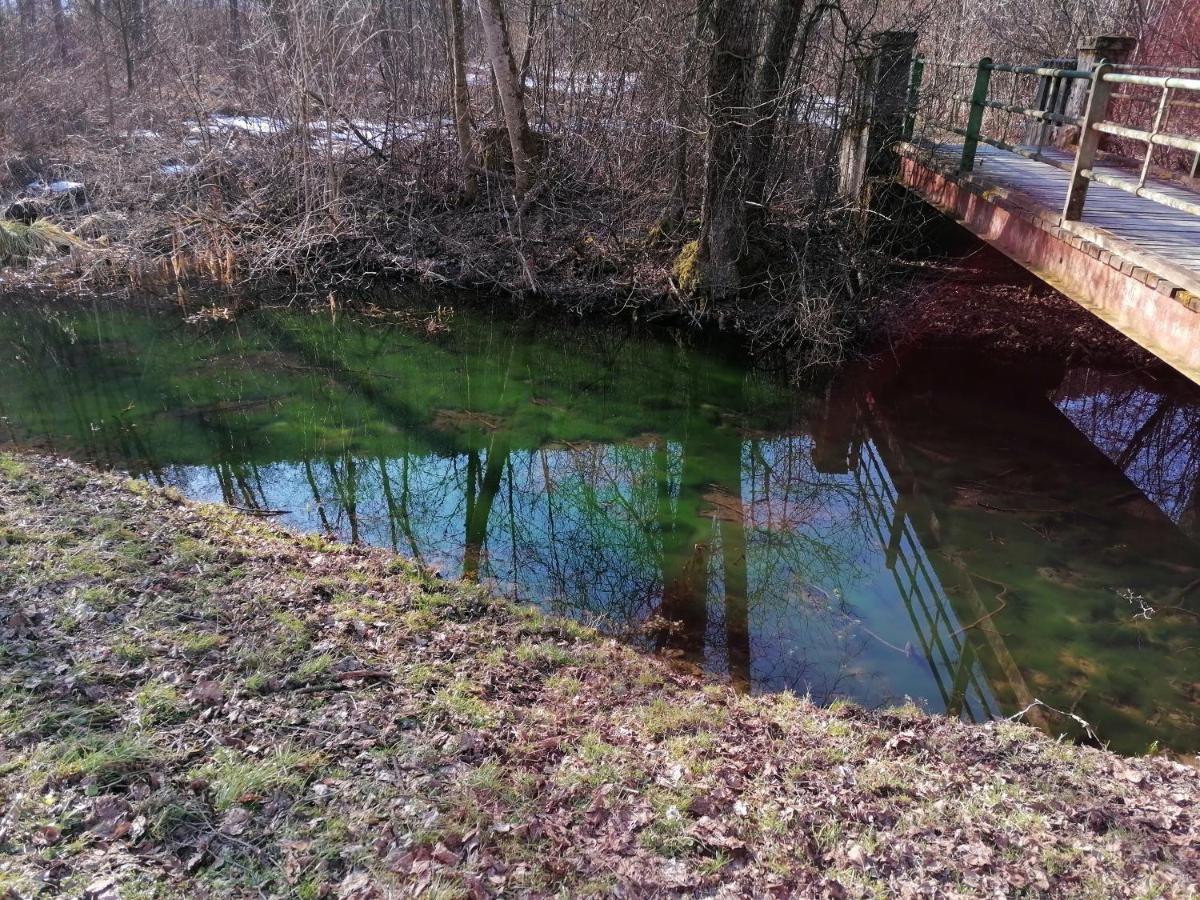 Ferienwohnung Resi Mit Traumhaftem Seepanorama Steindorf am Ossiacher See Esterno foto