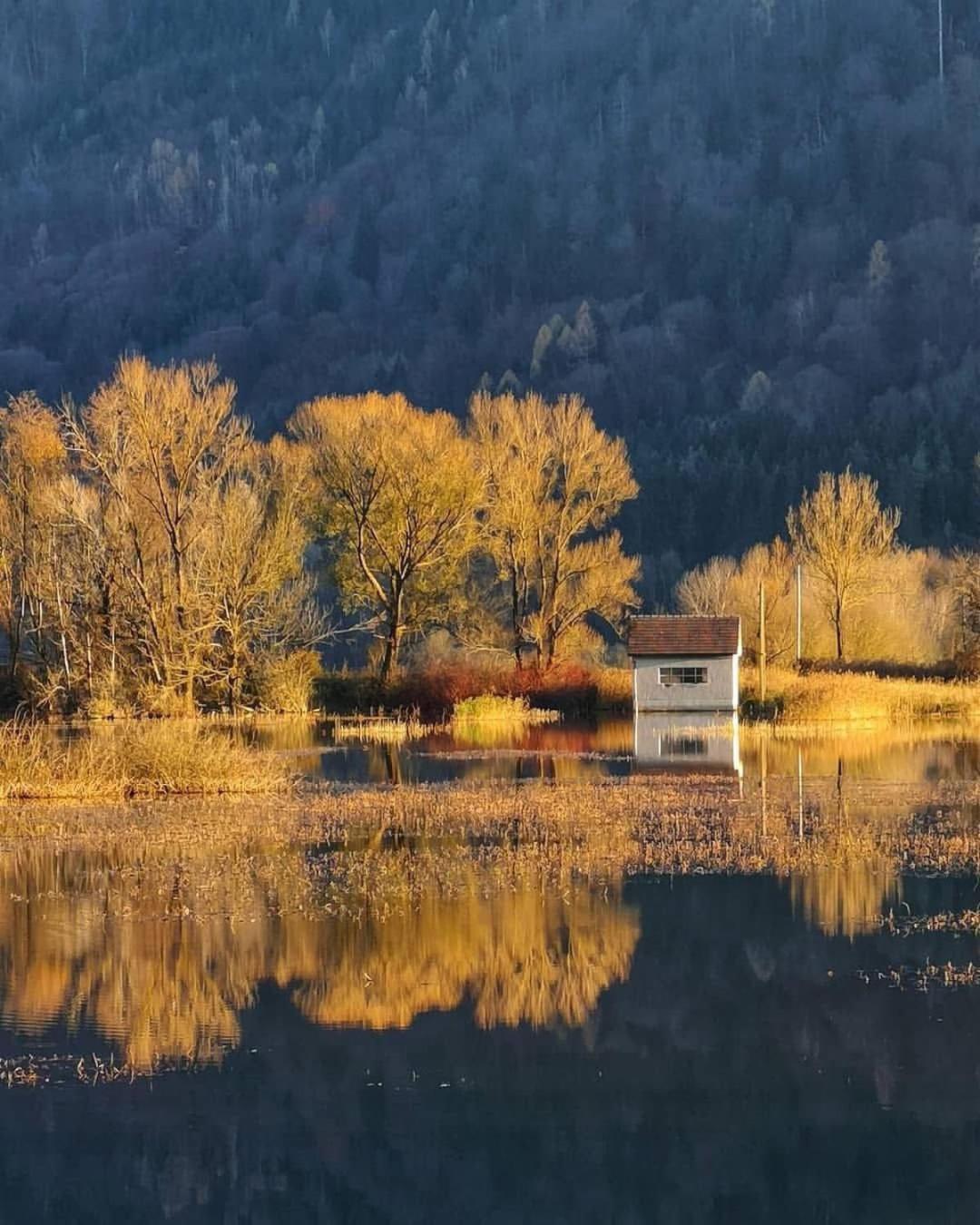 Ferienwohnung Resi Mit Traumhaftem Seepanorama Steindorf am Ossiacher See Esterno foto