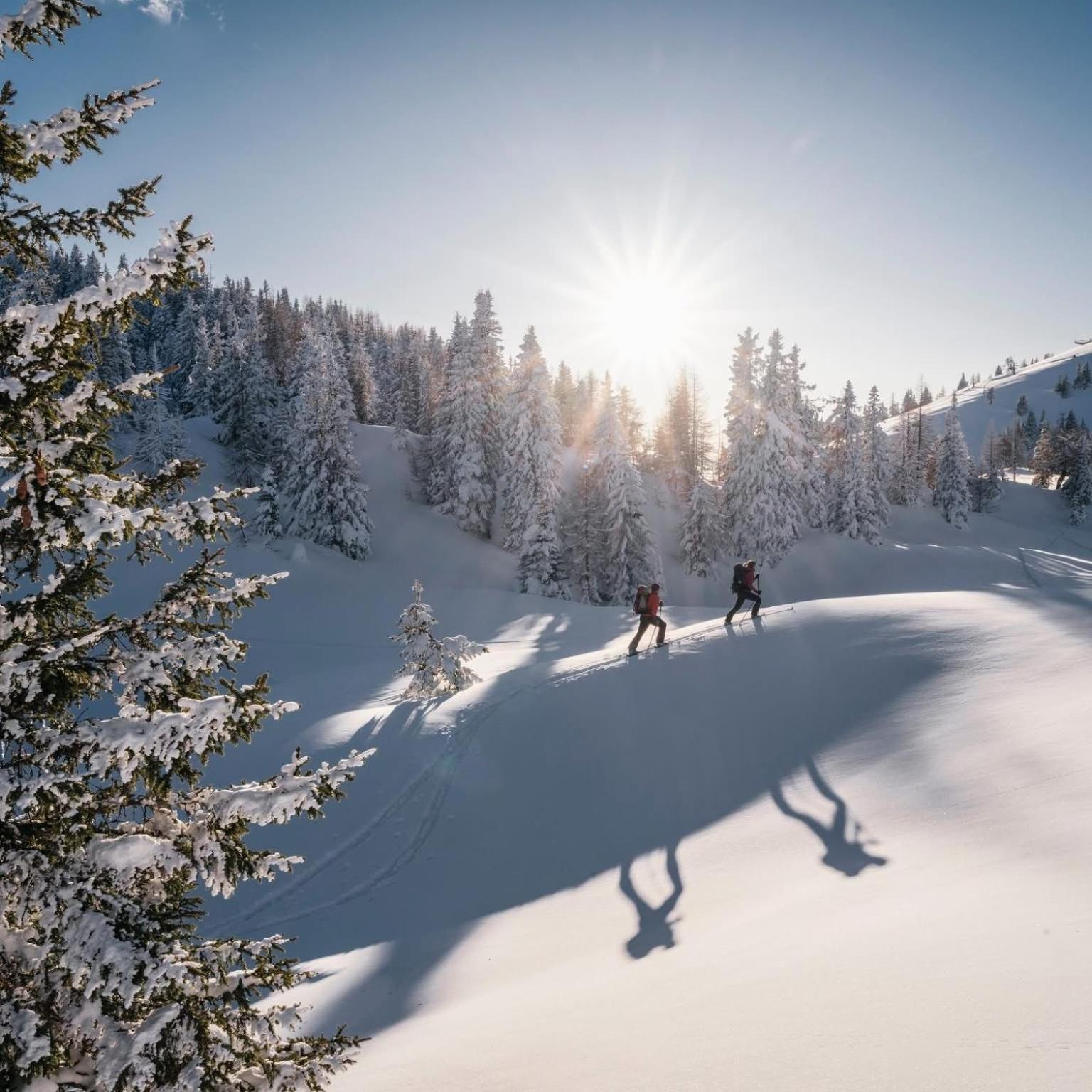 Ferienwohnung Resi Mit Traumhaftem Seepanorama Steindorf am Ossiacher See Esterno foto