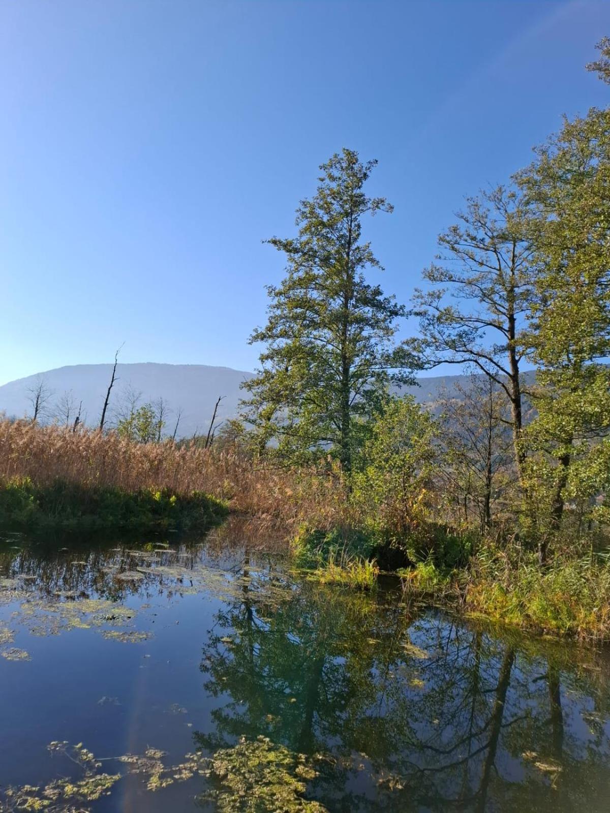 Ferienwohnung Resi Mit Traumhaftem Seepanorama Steindorf am Ossiacher See Esterno foto