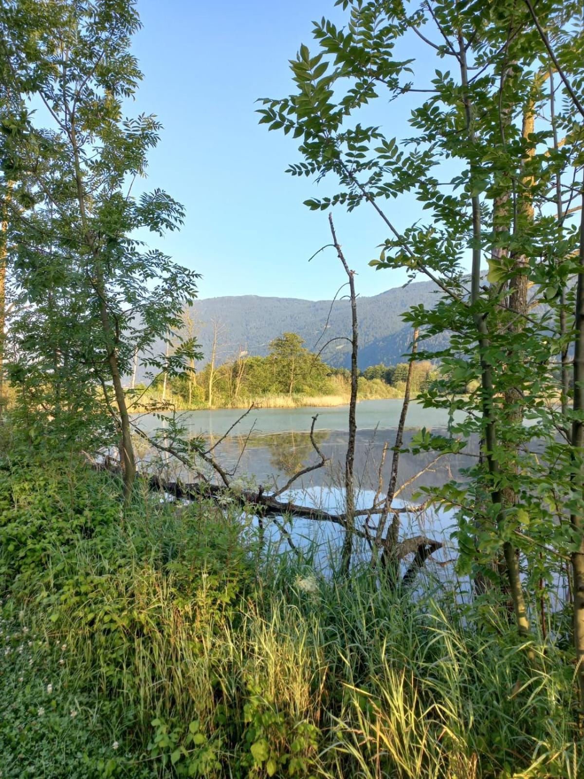 Ferienwohnung Resi Mit Traumhaftem Seepanorama Steindorf am Ossiacher See Esterno foto