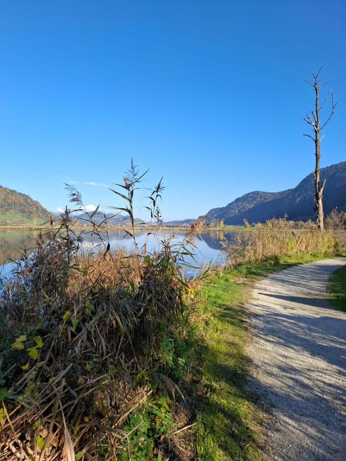 Ferienwohnung Resi Mit Traumhaftem Seepanorama Steindorf am Ossiacher See Esterno foto