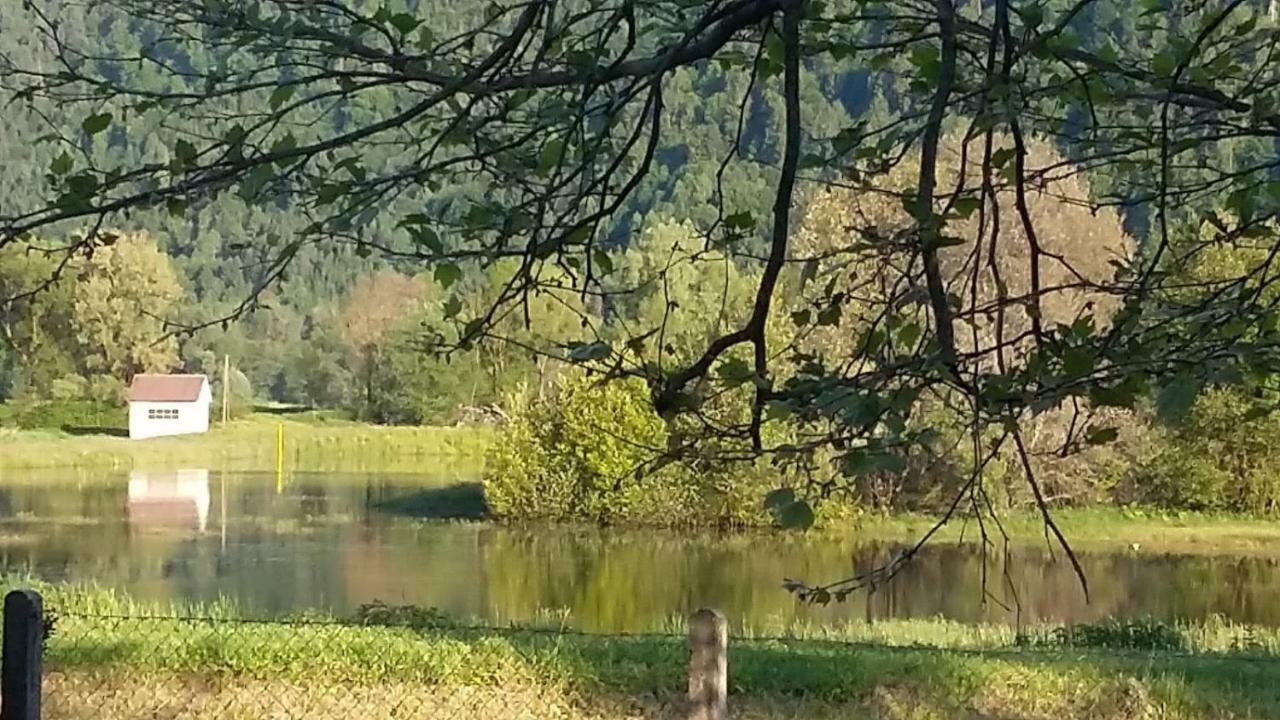 Ferienwohnung Resi Mit Traumhaftem Seepanorama Steindorf am Ossiacher See Esterno foto