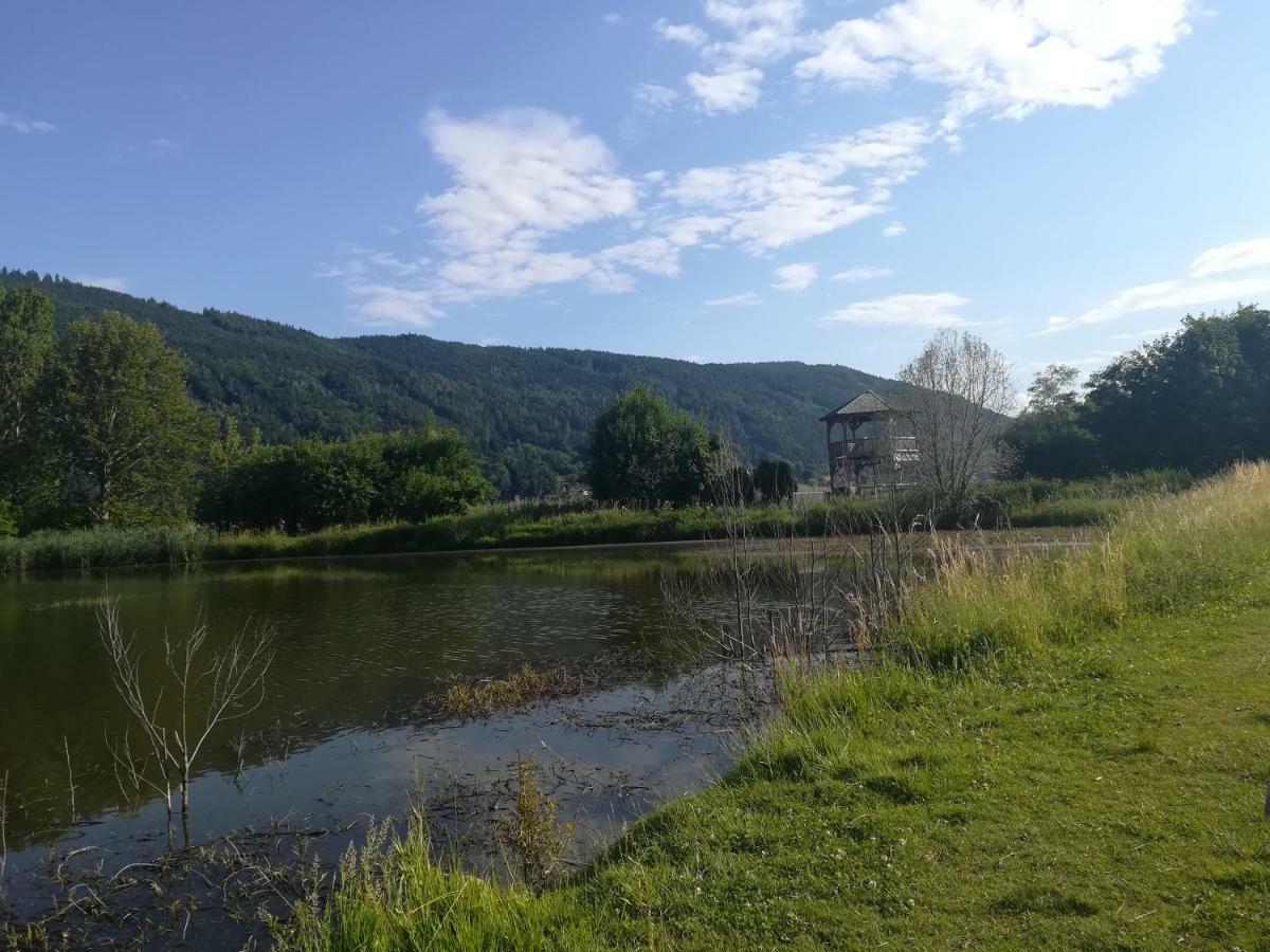 Ferienwohnung Resi Mit Traumhaftem Seepanorama Steindorf am Ossiacher See Esterno foto