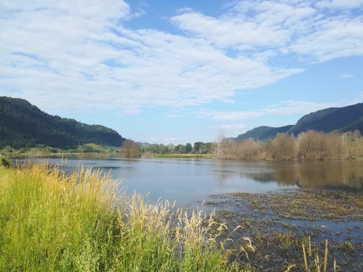Ferienwohnung Resi Mit Traumhaftem Seepanorama Steindorf am Ossiacher See Esterno foto